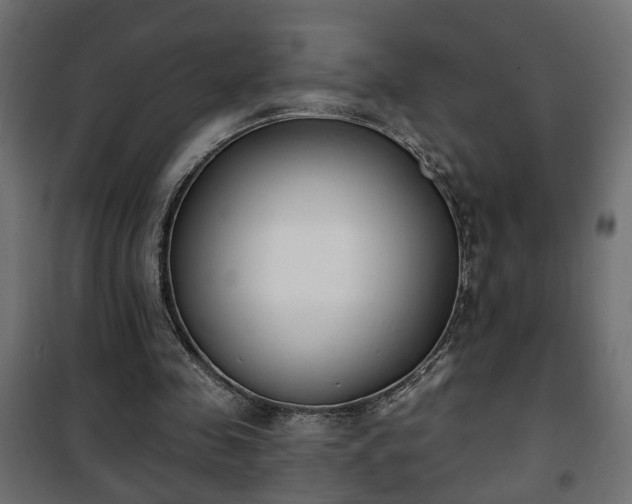 X0000101200341200807071320