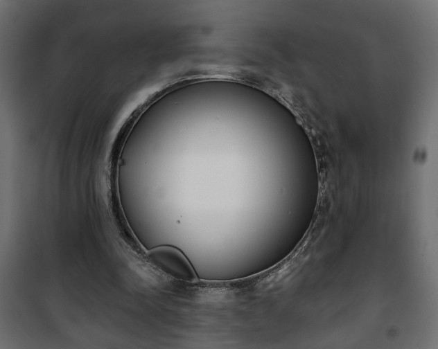 X0000101200342200807071320