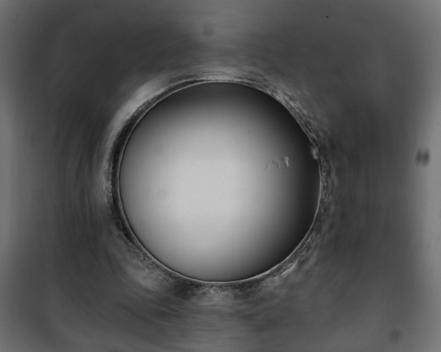 X0000101200343200807071320