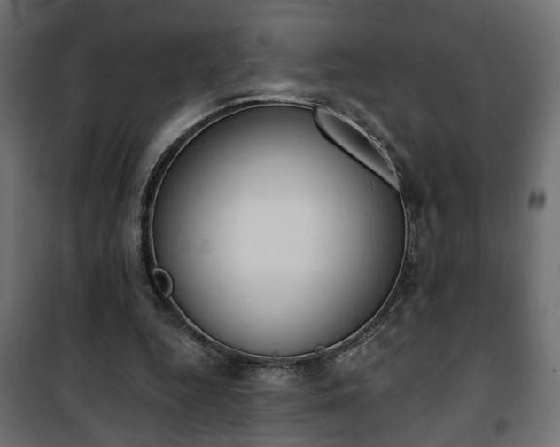 X0000101200344200807071320
