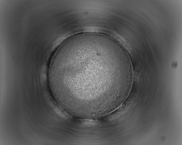 X0000101200347200807071320