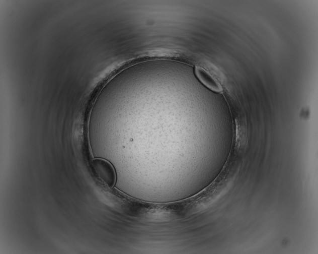X0000101200348200807071320