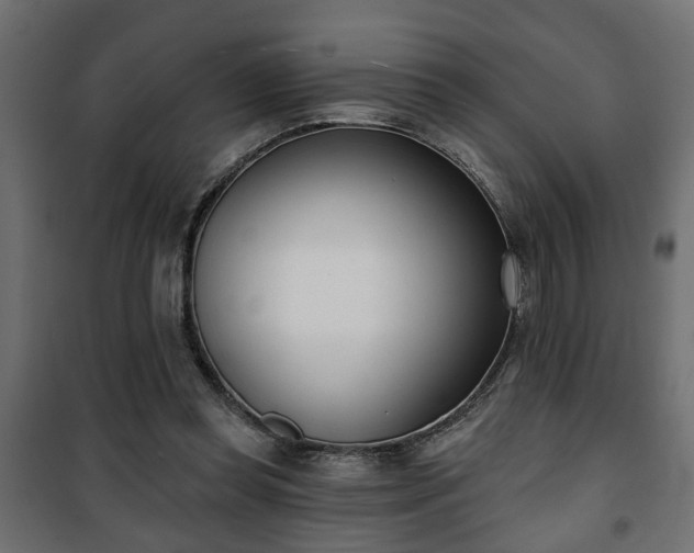 X0000101200349200807071320