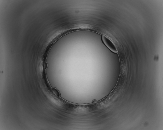 X0000101200350200807071320