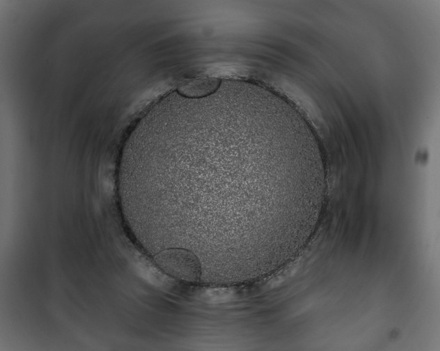 X0000101200353200807071320