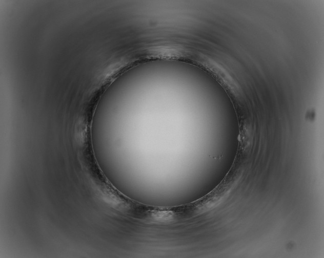 X0000101200355200807071320