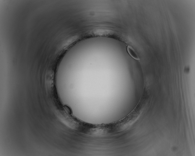 X0000101200356200807071320