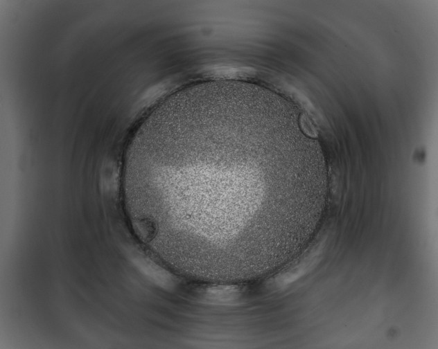 X0000101200357200807071320