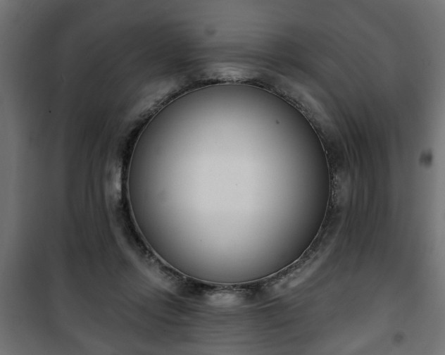 X0000101200358200807071320