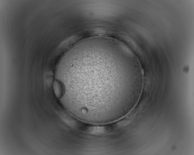 X0000101200361200807071320