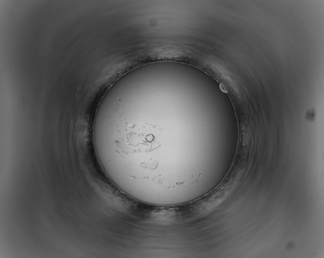 X0000101200362200807071320
