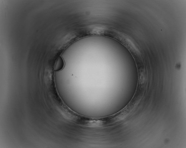 X0000101200363200807071320