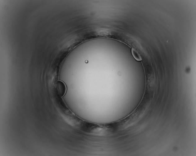 X0000101200364200807071320