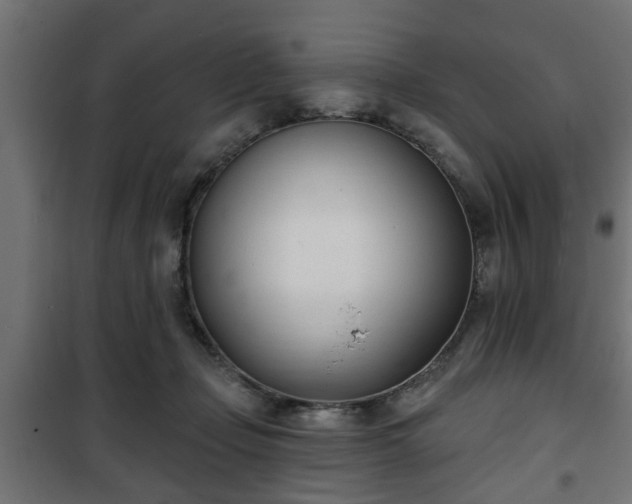 X0000101200365200807071320