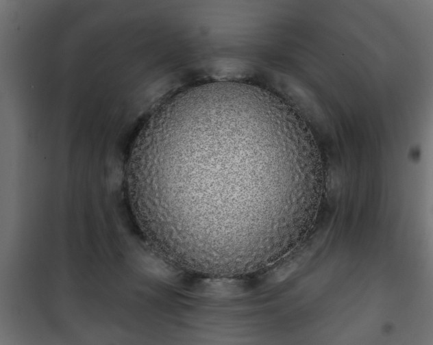X0000101200367200807071320