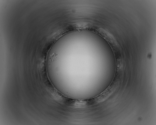 X0000101200369200807071320