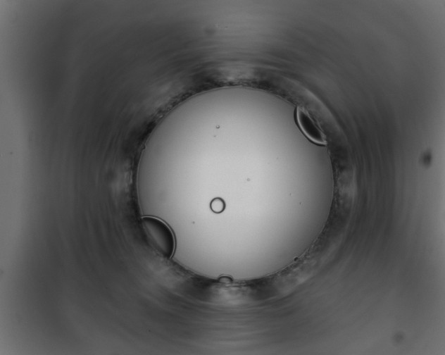 X0000101200372200807071320