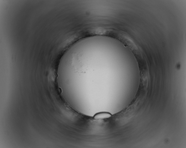 X0000101200374200807071320