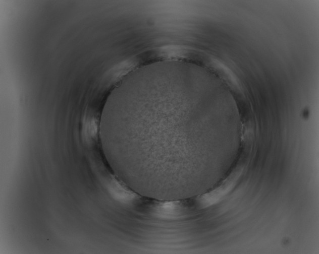 X0000101200382200807071320