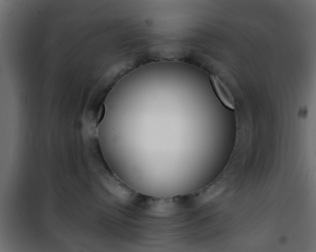 X0000101200384200807071320