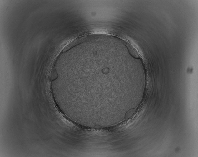 X0000101200385200807071319