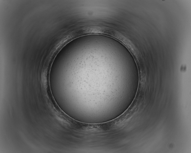 X0000101200386200807071319
