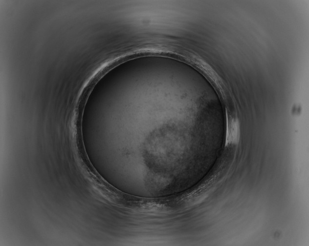 X0000101200387200807071319