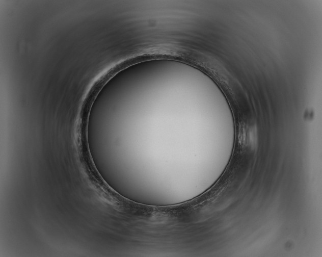 X0000101200388200807071319