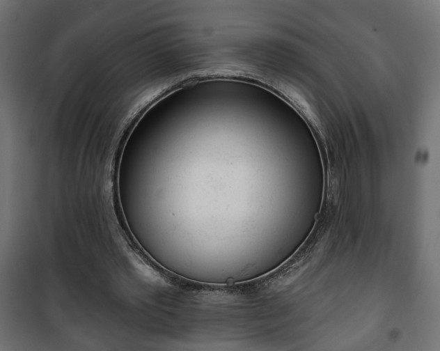 X0000101200389200807071319