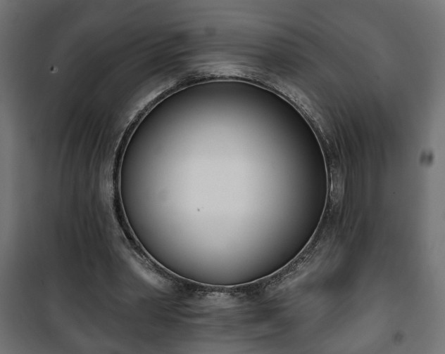 X0000101200390200807071319
