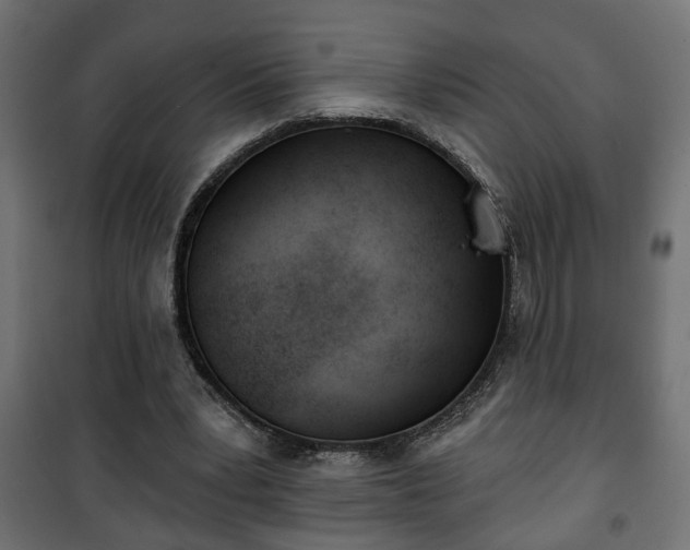 X0000101200391200807071319