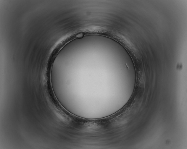 X0000101200392200807071319