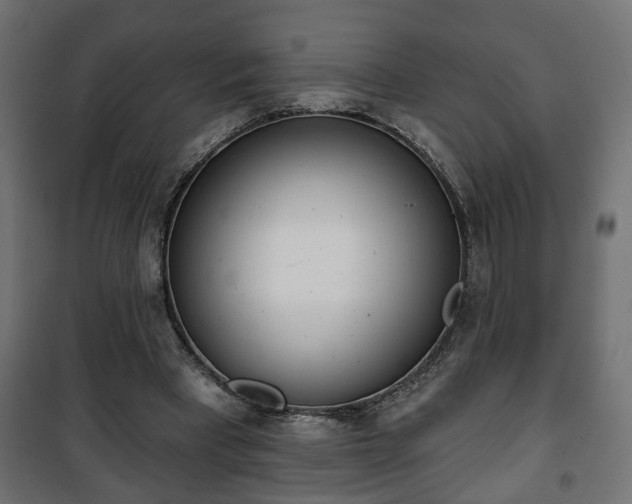 X0000101200393200807071319