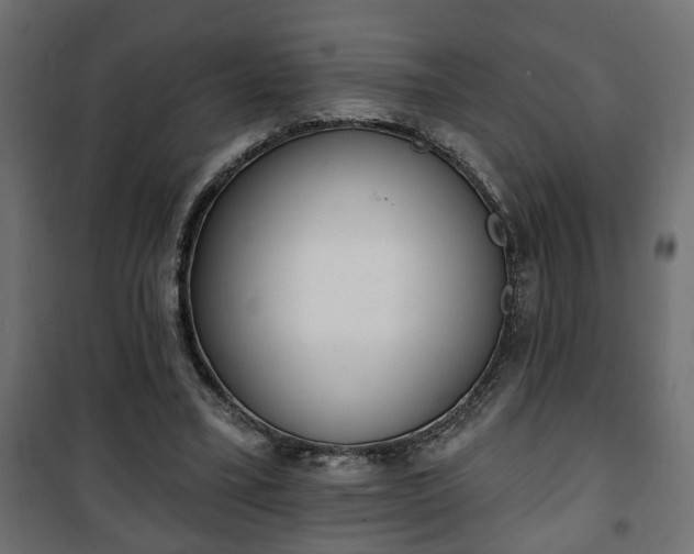 X0000101200395200807071319