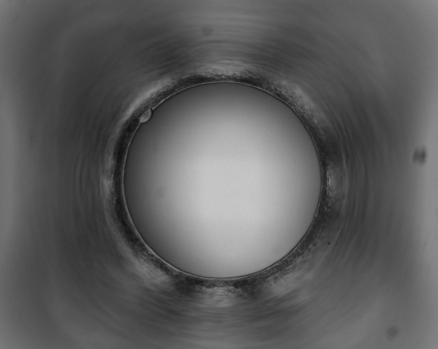 X0000101200396200807071319