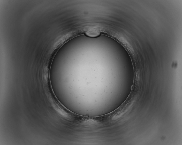X0000101200397200807071319