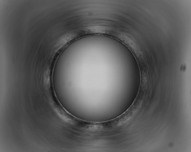 X0000101200398200807071319