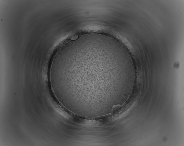 X0000101200399200807071319