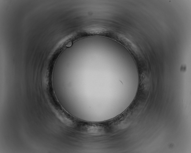 X0000101200400200807071319