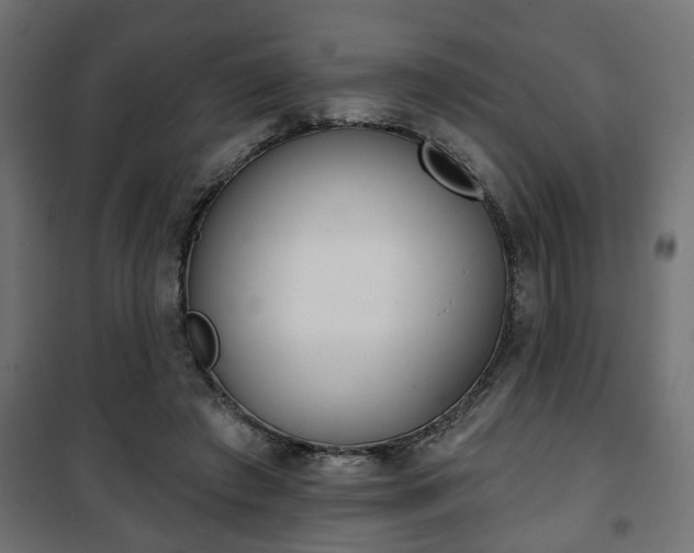 X0000101200401200807071319