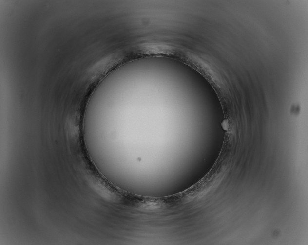 X0000101200402200807071319