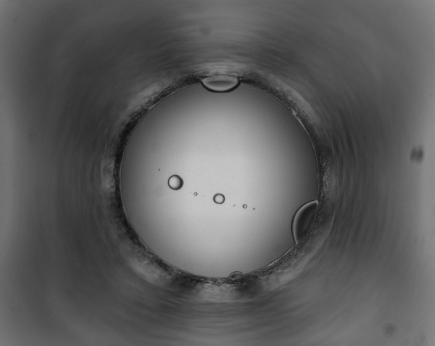 X0000101200403200807071319