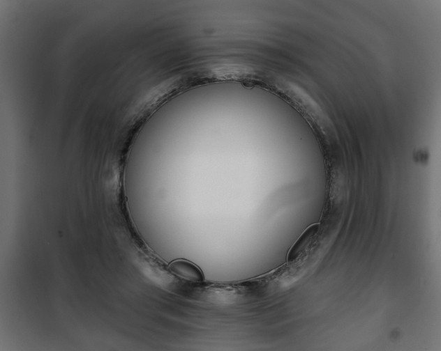 X0000101200405200807071319
