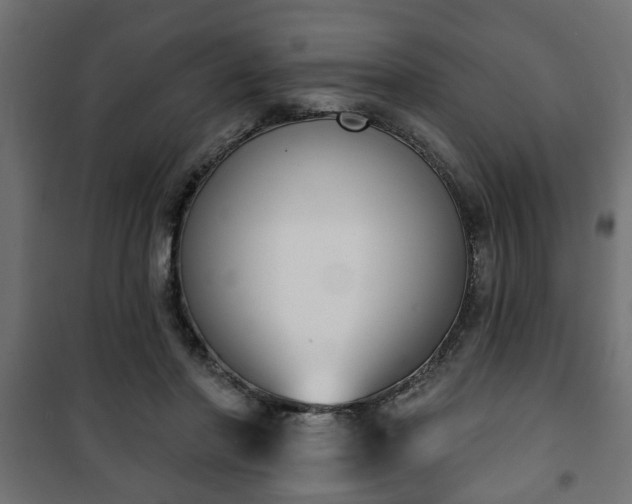 X0000101200406200807071319