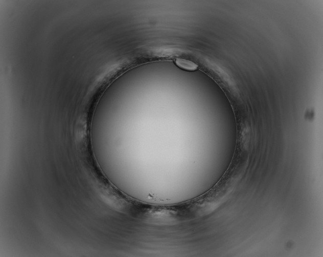 X0000101200407200807071319