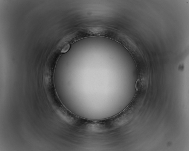 X0000101200408200807071319