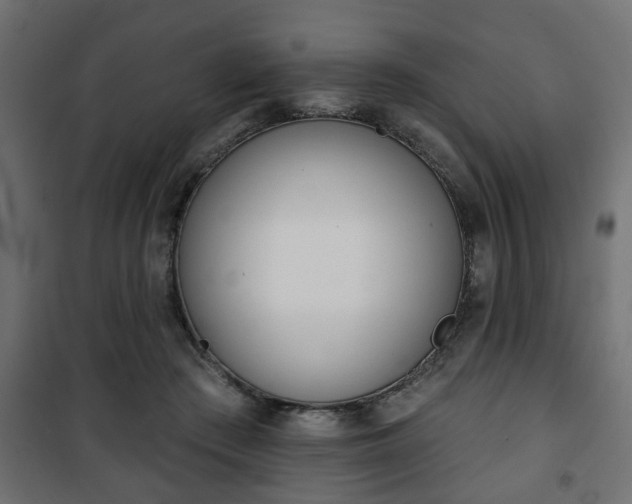 X0000101200409200807071319