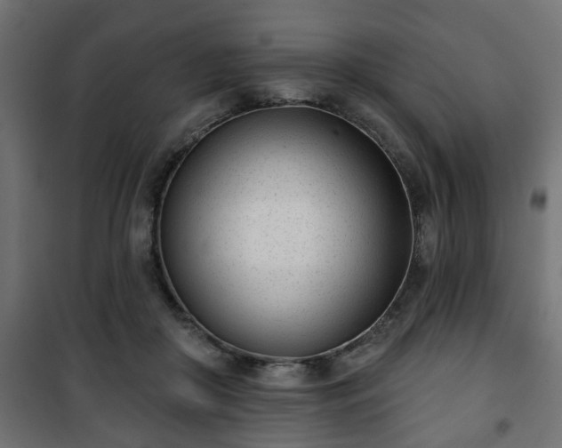 X0000101200410200807071319