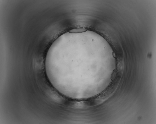 X0000101200411200807071319