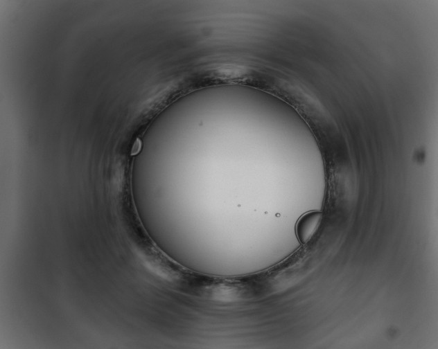 X0000101200412200807071319